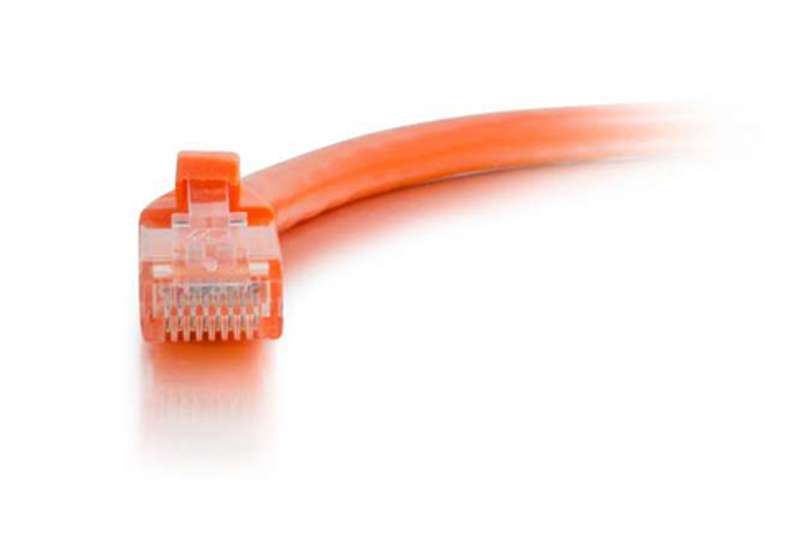 Cables To Go 1ft Cat6 Snagless Unshielded (UTP) Ethernet Cable