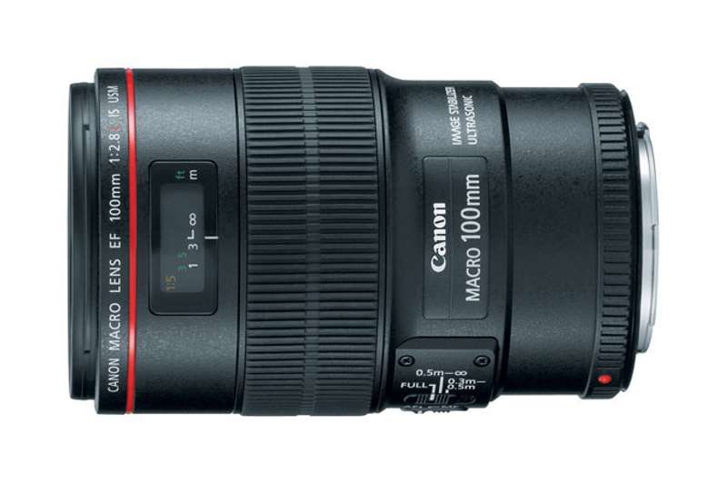 Canon EF 100mm f/2.8L Macro IS USM Lens