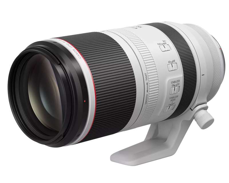 Canon RF100-500mm F4.5-7.1 L IS USM Lens