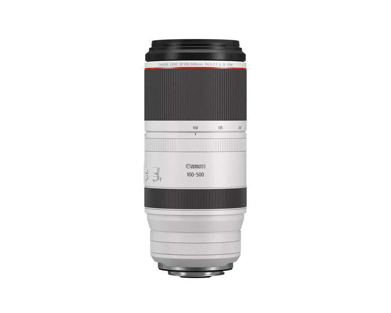 Canon RF100-500mm F4.5-7.1 L IS USM Lens