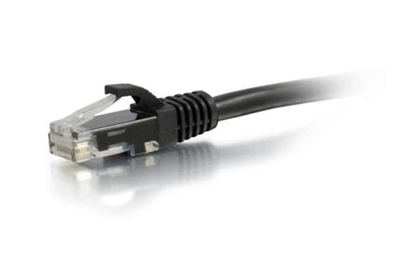 Cables To Go 1ft Cat6a Snagless Unshielded Network Patch Cable