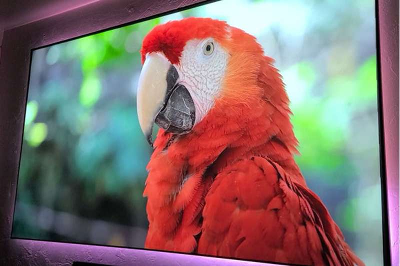 Elite Aeon CLR 3 Series 123 Inch Diagonal Fixed Frame Screen