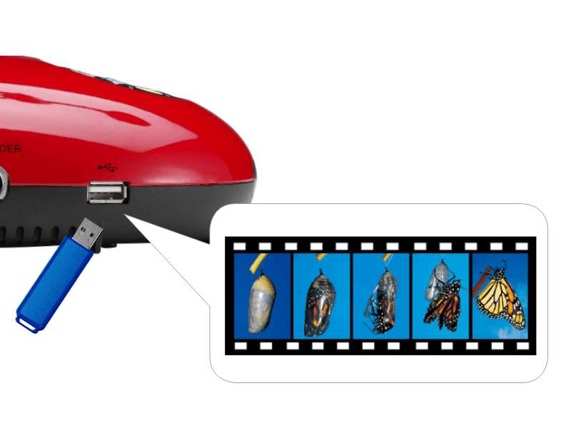 Lumens DC193 Ladibug Document Camera, 20× Zoom, 30 fps, HDMI Pass‑Through, 4 TB USB Storage, Red