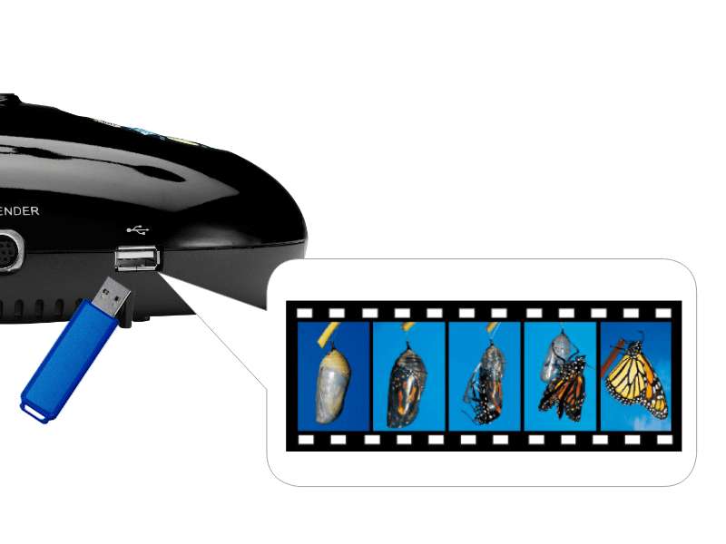 Lumens PC193 Ladibug Document Camera, 20× Zoom, 30 fps, HDMI Pass‑Through, 4 TB USB Storage, Black