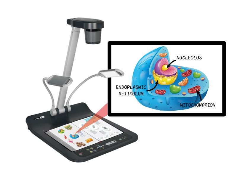 Lumens PS753 4K Desktop Document Camera with 300x zoom, HDMI, VGA, USB, and IP streaming