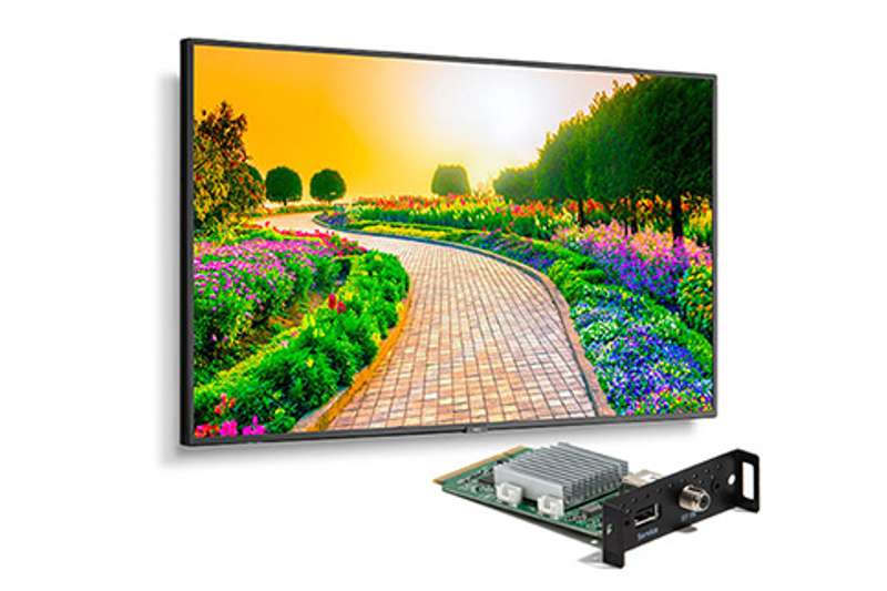 NEC M431-MPI4E 43'' UHD Professional Display