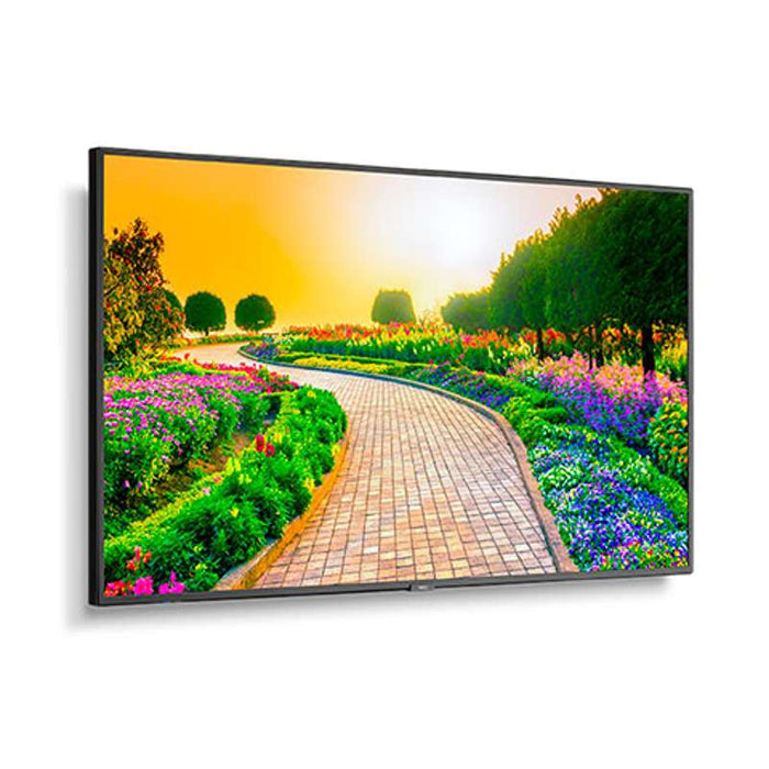 NEC M431 43'' UHD Professional Display