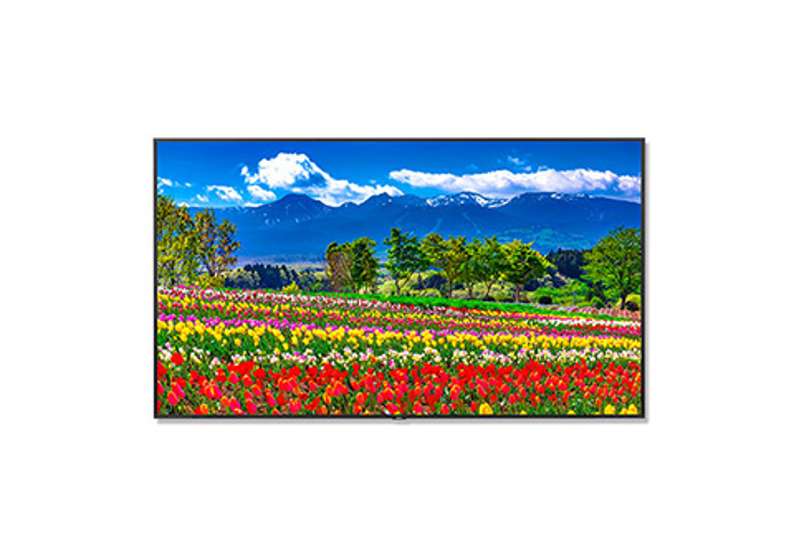 NEC 75'' Ultra High Definition Professional Display