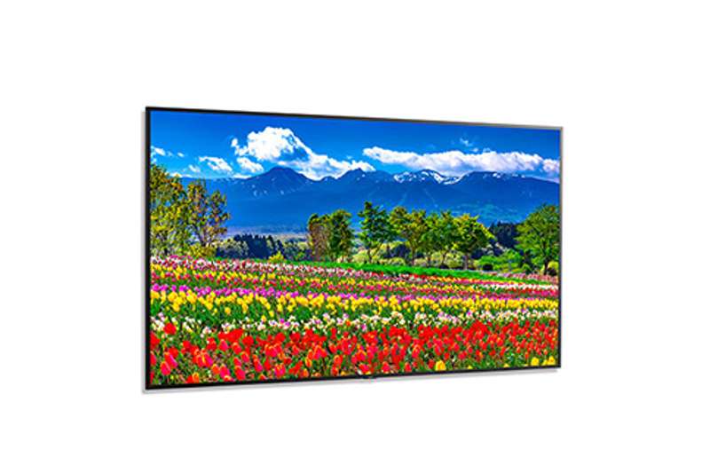 NEC M751 75'' Ultra High Definition Display