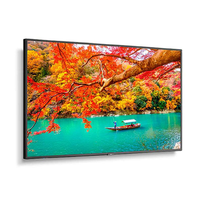 NEC MA431-MPI4E 43'' UHD Professional Display