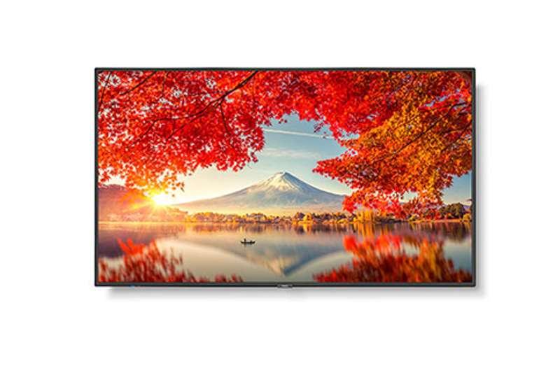 NEC MA551 55'' Wide Color Gamut MultiSync UHD Display