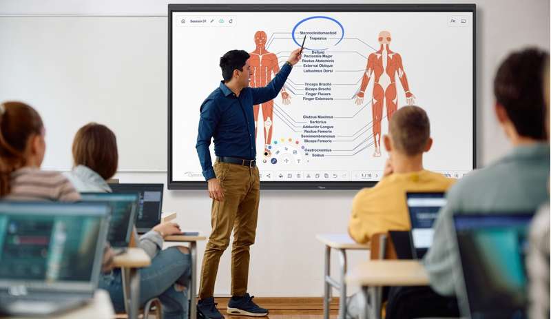 Optoma Creative Touch 5‑Series 75" 4K Ultra HD Interactive Display