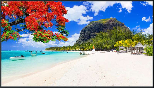 Panasonic TH-SQ2H Series 86'' 4K UHD Professional Display with Intel Smart Display Module, 24/7 Operation