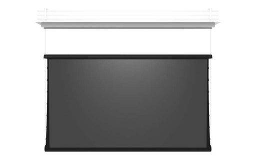 Screen Innovations Zero-G Motorized External Mount Screen, 65'' x 116'' with 360 Material
