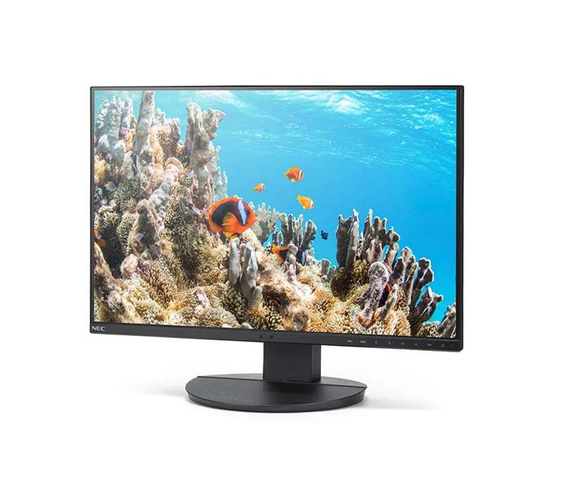 Sharp MultiSync DD-EA242W 24.1