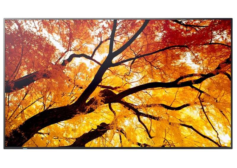 Sharp 55" Ultra High Definition Professional Display with BrightSign Built-In (PN-M552-BS6)