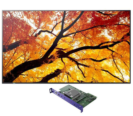 Sharp 43" Ultra High Definition Professional Display with BrightSign Built-In (PN-M432-BS6)
