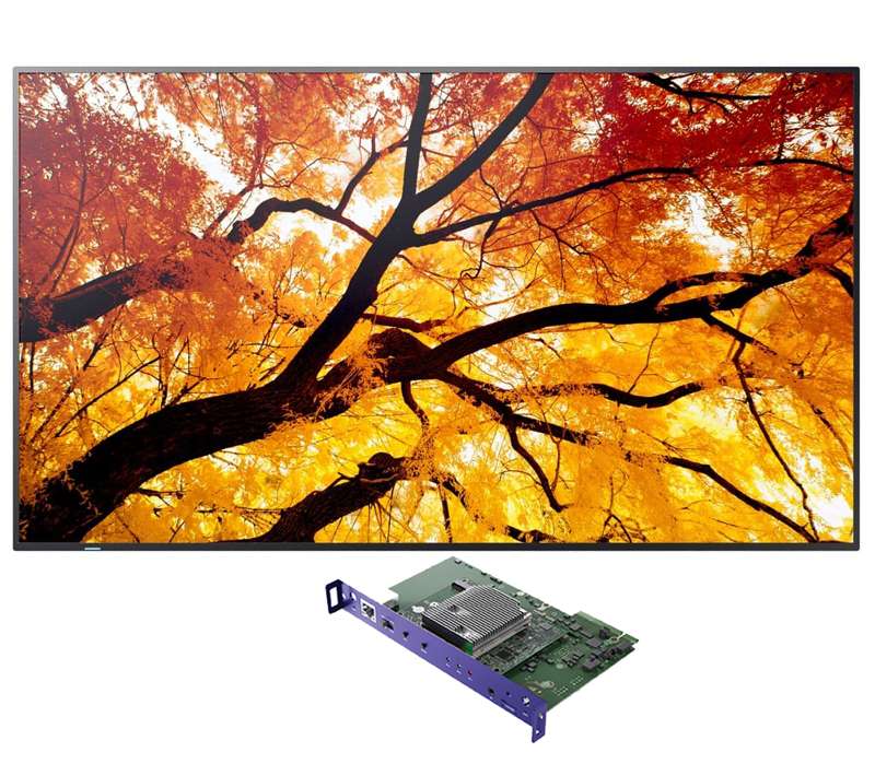 Sharp 55" Ultra High Definition Professional Display with BrightSign Built-In (PN-M552-BS6)
