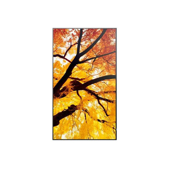 Sharp 75" Ultra High Definition Professional Display with BrightSign Built-In (PN-M752-BS6)