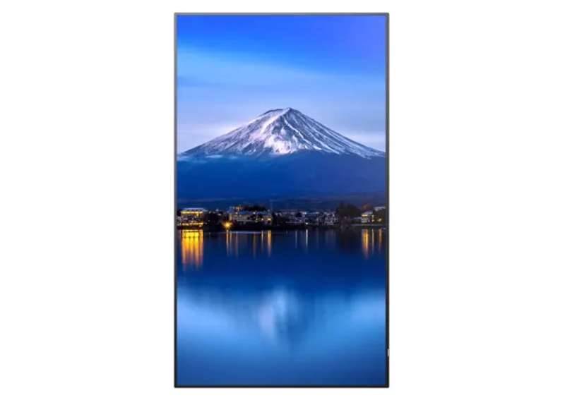 Sharp 50" Ultra High Definition Professional Display with BrightSign Built-In (PN-P506-BS6)