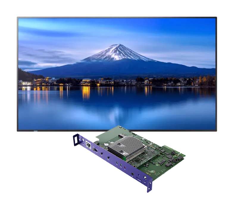 Sharp 43" Ultra High Definition Professional Display with BrightSign Built-In (PN-P436-BS6)