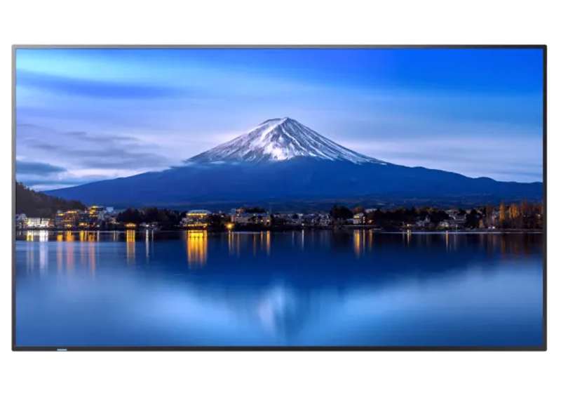 Sharp 55" Ultra High Definition Professional Display with BrightSign Built-In (PN-P556-BS6)