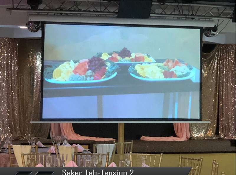 Elite Saker Tab-Tension 2 Series, 165-inch Diag. 16:9 Electric Screen, CineWhite Material