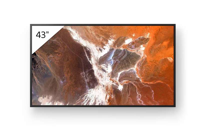 Sony BRAVIA 43" 4K HDR Core Professional Display (FW43BZ30P)