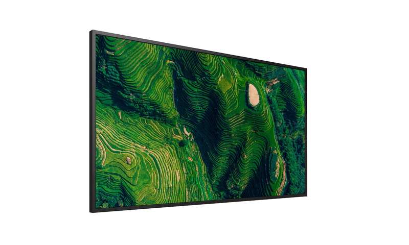 Sony BRAVIA 50" 4K HDR Professional Display (FW50BZ35P)