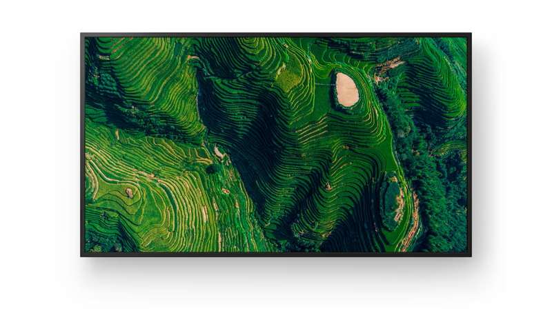 Sony BRAVIA 55" 4K HDR Professional Display (FW55BZ35P)