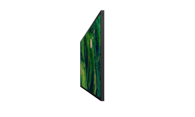 Sony BRAVIA 55" 4K HDR Professional Display (FW55BZ35P)