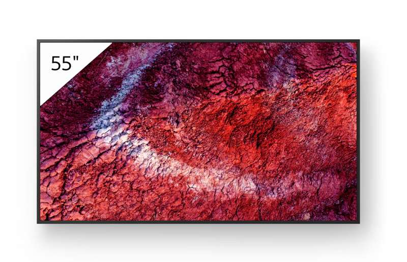 Sony BRAVIA 55" 4K HDR Flagship Professional Display (FW55BZ40P)