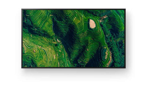 Sony 65” Pro BRAVIA 4K HDR Professional Display with IP5X Dust Resistance, Deep Black Non‑Glare Standard, and 3‑Year Advanced Replacement