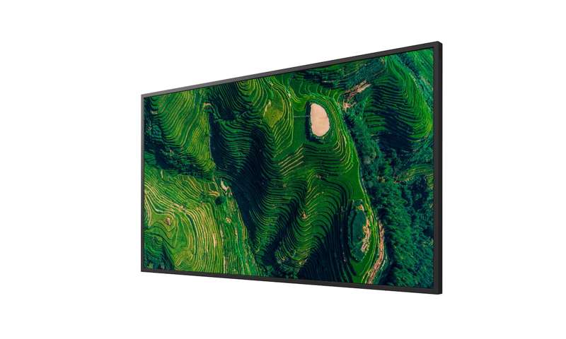 Sony BRAVIA 65" 4K HDR Professional Display (FW65BZ35P)