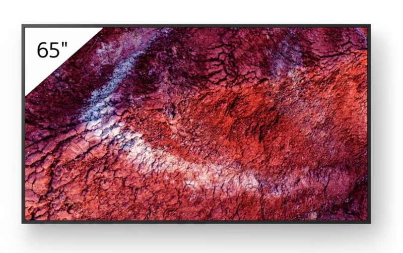 Sony BRAVIA 65" 4K HDR Flagship Professional Display (FW65BZ40P)